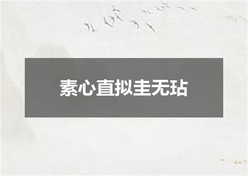 素心直拟圭无玷