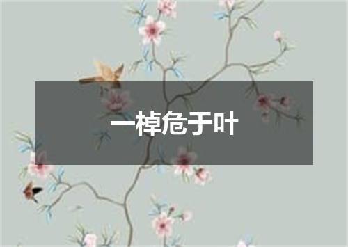 一棹危于叶