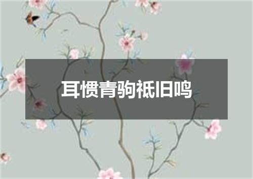 耳惯青驹祗旧鸣