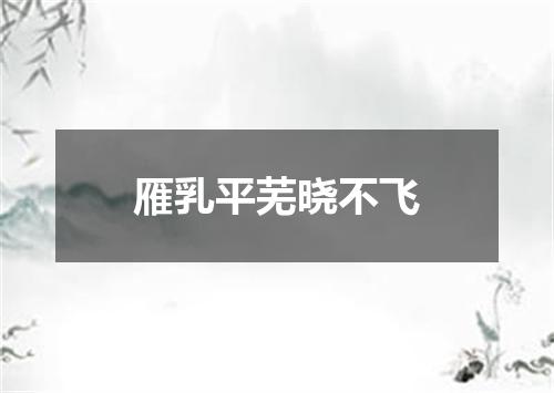 雁乳平芜晓不飞