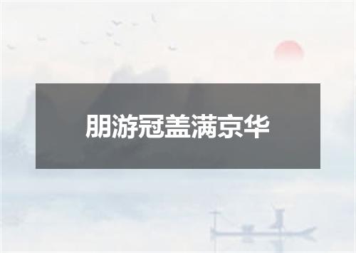 朋游冠盖满京华