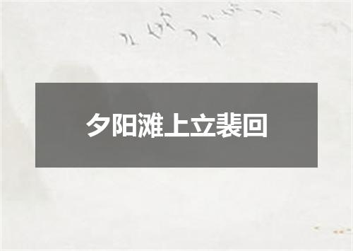 夕阳滩上立裴回