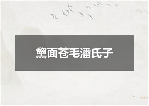 黧面苍毛潘氏子