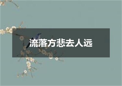 流落方悲去人远