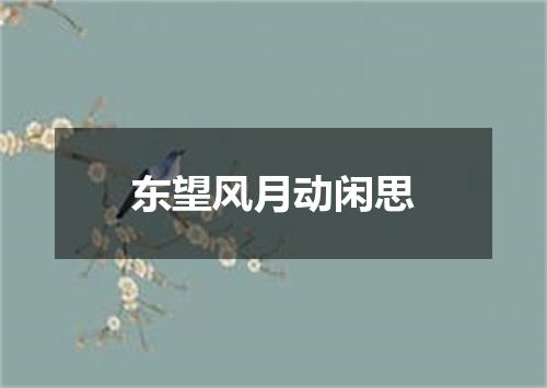 东望风月动闲思