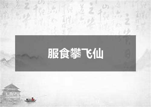 服食攀飞仙