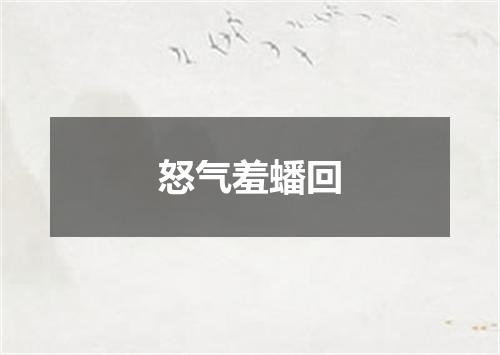 怒气羞蟠回