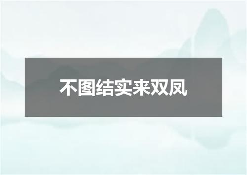 不图结实来双凤