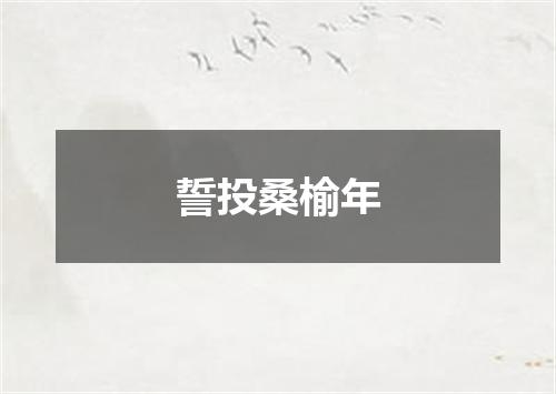 誓投桑榆年
