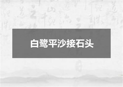 白鹭平沙接石头