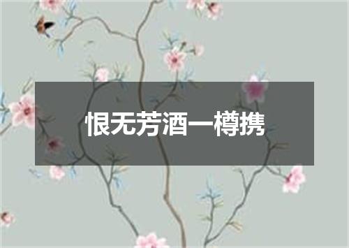 恨无芳酒一樽携