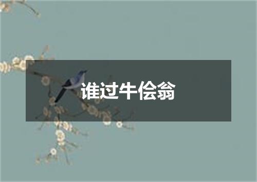 谁过牛侩翁