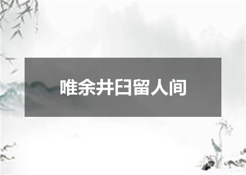 唯余井臼留人间