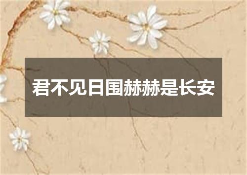 君不见日围赫赫是长安