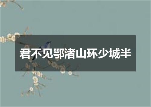 君不见鄂渚山环少城半