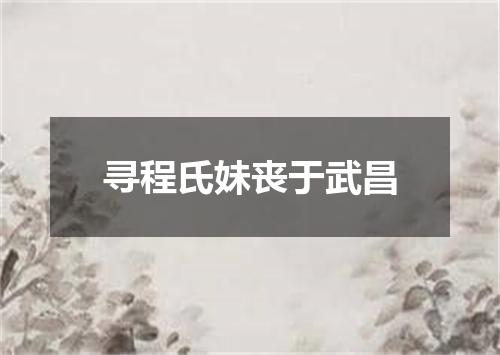 寻程氏妹丧于武昌