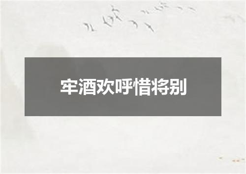牢酒欢呼惜将别