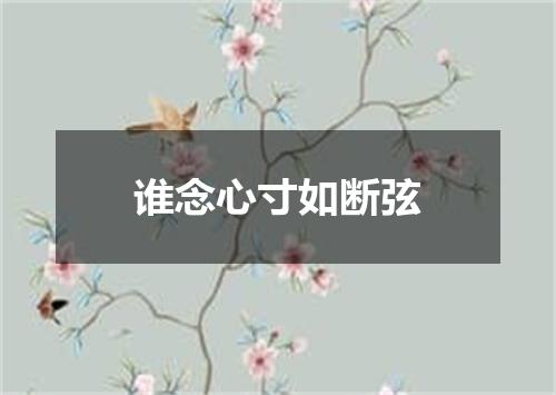 谁念心寸如断弦