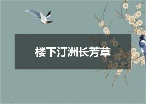 楼下汀洲长芳草