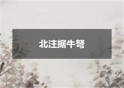 北注据牛弩