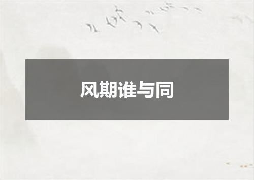 风期谁与同