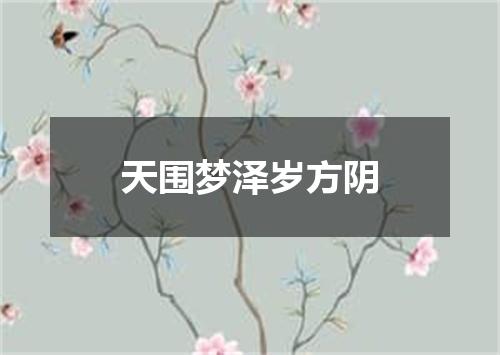 天围梦泽岁方阴