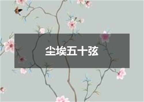 尘埃五十弦