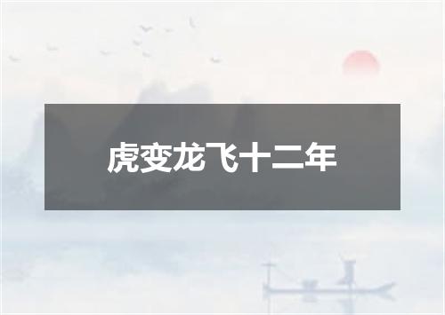 虎变龙飞十二年
