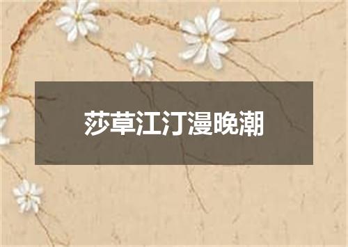 莎草江汀漫晚潮