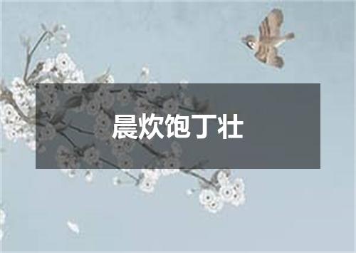晨炊饱丁壮
