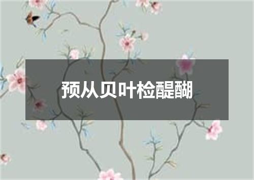 预从贝叶检醍醐