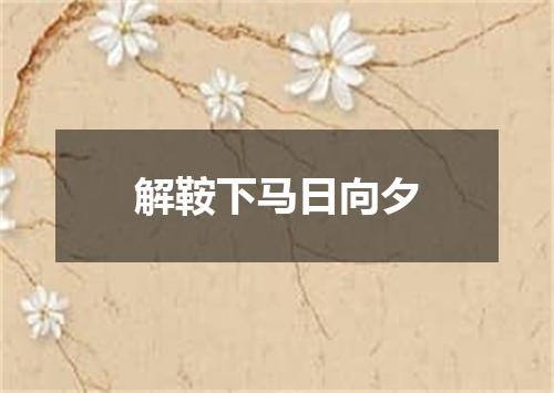 解鞍下马日向夕