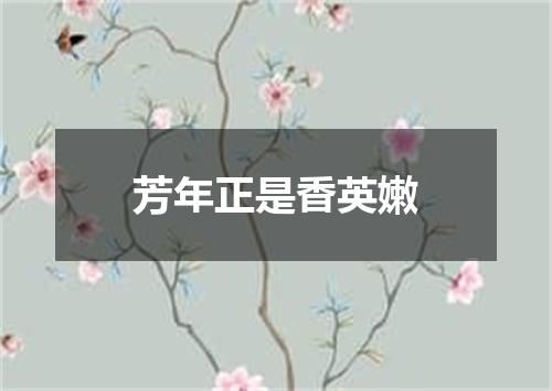 芳年正是香英嫩