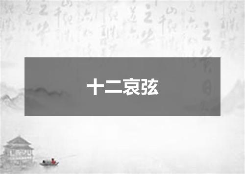 十二哀弦