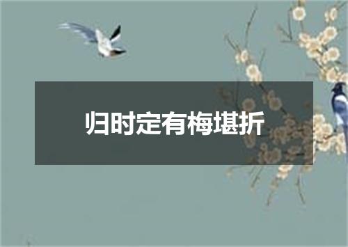 归时定有梅堪折