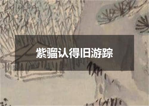 紫骝认得旧游踪