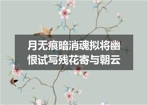 月无痕暗消魂拟将幽恨试写残花寄与朝云