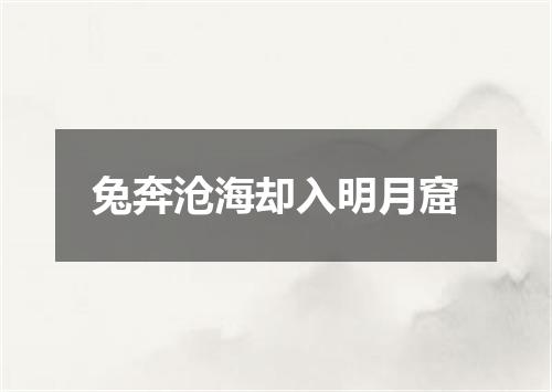 兔奔沧海却入明月窟