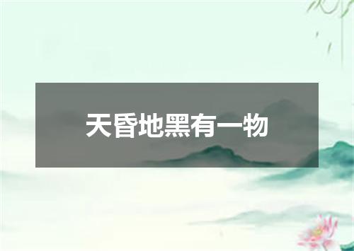 天昏地黑有一物