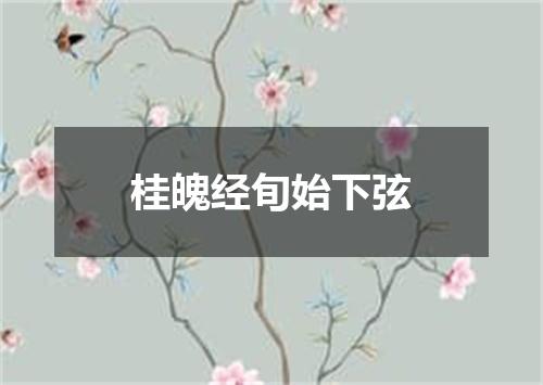 桂魄经旬始下弦