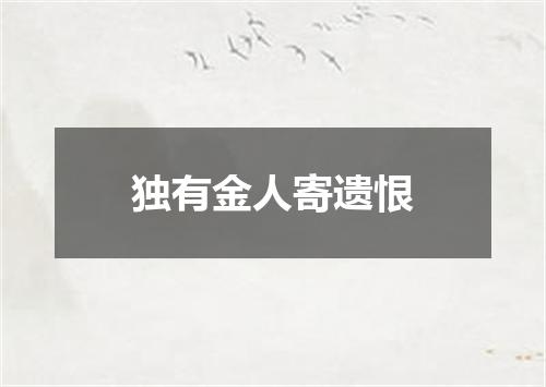 独有金人寄遗恨