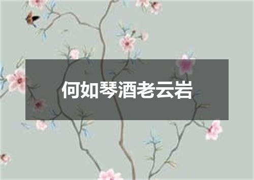 何如琴酒老云岩