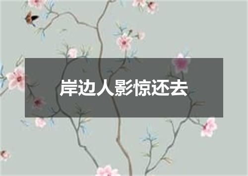岸边人影惊还去