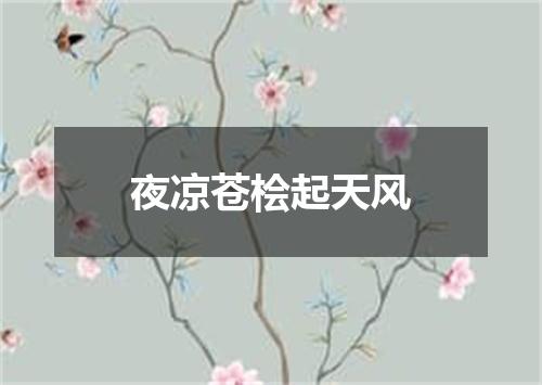 夜凉苍桧起天风