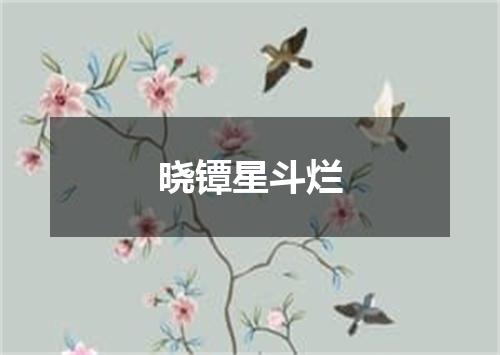 晓镡星斗烂