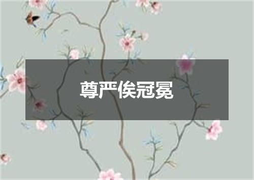 尊严俟冠冕
