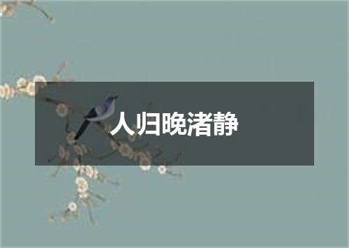 人归晚渚静