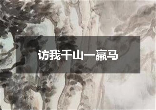 访我千山一羸马