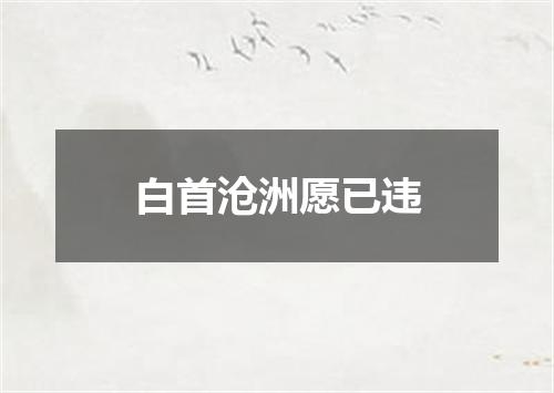 白首沧洲愿已违