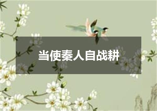 当使秦人自战耕